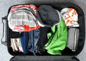 Salie januari Stewart Island Tips handbagage inpakken voor het vliegen